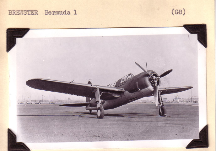 Brewster-Bermuda-3